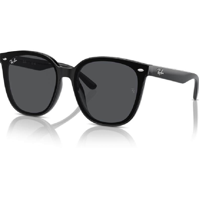 RayBan雷朋偏光防晒太阳眼镜时尚百搭潮流板材男女款墨镜0RB4423
