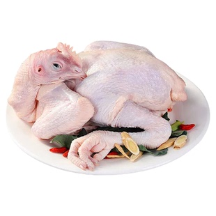 新鲜现杀正宗农家散养土鸡农村下蛋鸡月子鸡老母鸡整只走地鸡草鸡