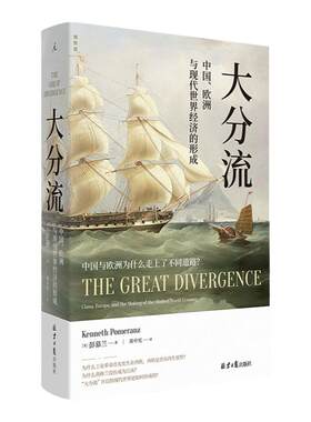 大分流 中国、欧洲与现代世界经济的形成 全新译本 彭慕兰著 贸易打造世界 探索现代世界经济和世界体系的起源 理想国图书旗舰店