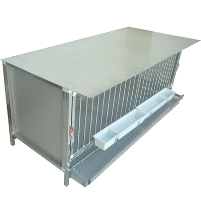 誊洁不锈钢鸡笼四面钢板防风防雨