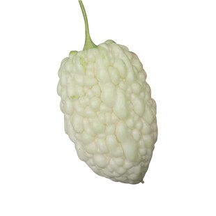 苹果苦瓜种子白苦瓜种籽四季孑春夏秋种子蔬菜籽蔬果水果农作物菜