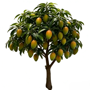 仿真水果树绿植室内造景装饰假苹果橘子荔枝梨树客厅落地景观摆件