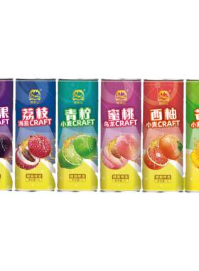 精酿原浆微醺精酿果味啤酒