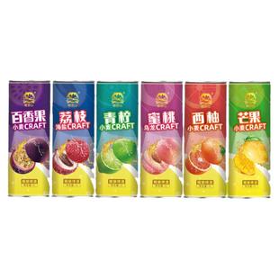 原浆精酿果味啤酒低度微醺女士果啤1L百香果水蜜桃青柠西柚味特价