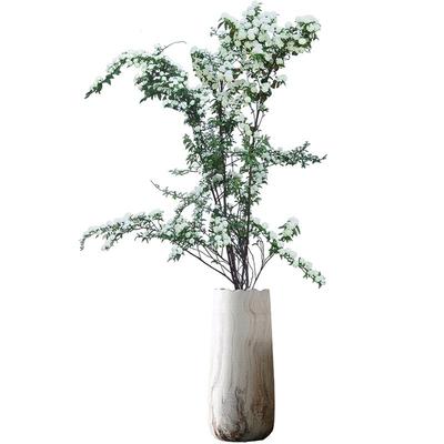 领沃雪柳鲜枝干枝水养带花苞真花