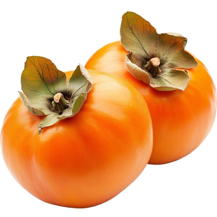 柿子树果苗火晶太秋脆甜嫁接庭院地栽耐寒老桩当年结果南北方种植