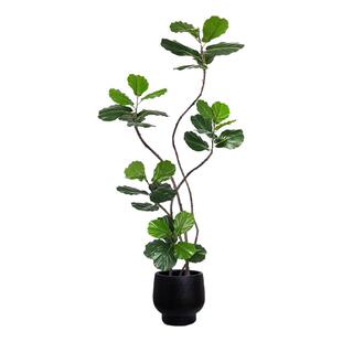 中古风绿植仿真琴叶榕客厅轻奢高级感假树仿生绿色植物室内装饰