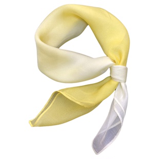 2026春季新款70厘米真丝小方巾女夏季百搭防晒渐变桑蚕丝纱巾围巾