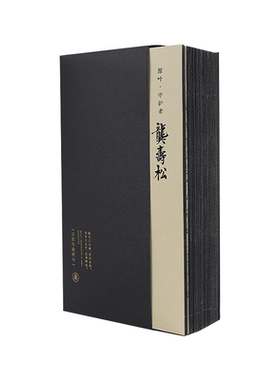 正宗高端安化黑茶大师茶叶送礼品