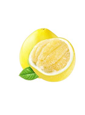柚子树苗果红心蜜广西大沙