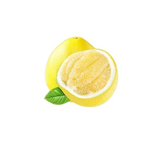 柚子树苗果树果苗红心蜜柚广西大沙田柚庭院嫁接南方种植水果葡萄