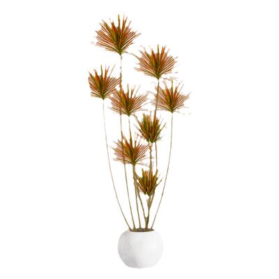 千年木大型绿植盆栽植物室内好养