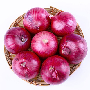 新鲜现挖紫皮洋葱5斤9斤新鲜圆葱红皮特产农家自种蔬菜鲜辣脆嫩爽
