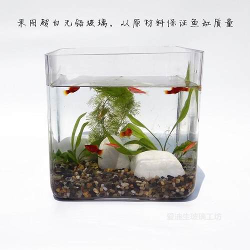 正方形玻璃鱼缸 书桌客厅卧室办公室适用 20cm 25cm 方缸 超白玻
