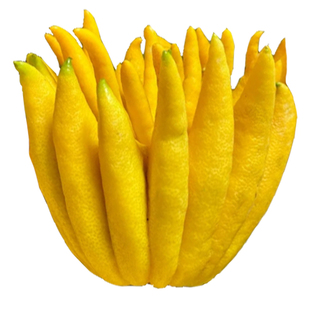 佛手柑鲜果五指香橼清供礼佛闻香神台贡品摆件拜神福寿果供神香薰