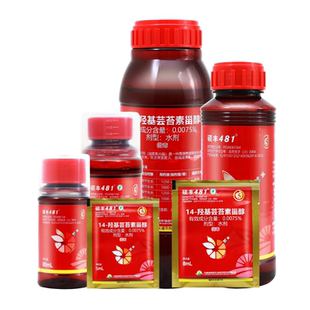 硕丰481芸苔素花之果 羟基芸苔素甾醇芸苔素内脂 植物生长调节剂