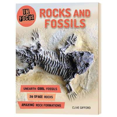 聚焦 岩石和化石 In Focus Rocks and Fossils 英文原版 儿童科普百科读物 英文版进口原版英语书籍
