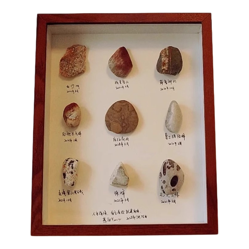 diy手工立体中空标本框干花展示