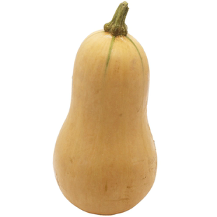 奶油南瓜种子香甜蜜本南籽春季贝贝蔬菜孑菜种菜籽板栗味阳台盆栽