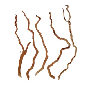 杜鹃根枝条 龙须根细枝 草缸南美缸 修饰树枝 微景观造景藤条