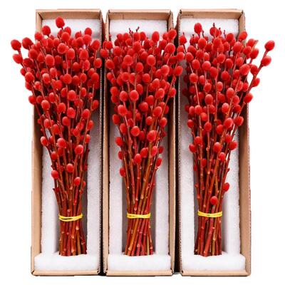 2026银柳真花鲜枝批发干花客厅摆件红色年宵花卉新年氛围装饰水培