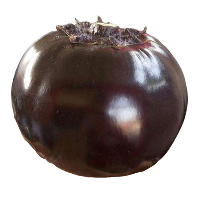 圆茄种子菜苗南方四季盆栽