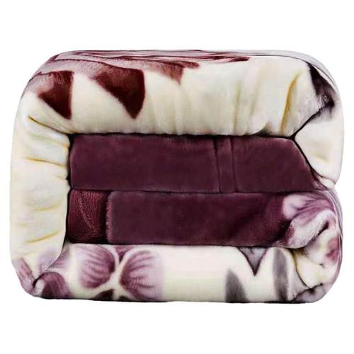 新款双层加厚拉舍尔毛毯秋冬保暖绒毯单双人结婚庆午睡毯子盖毯被