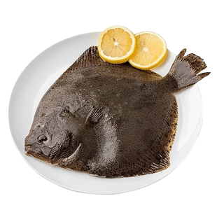 多宝鱼鲜活速冻特大比目鱼新鲜大菱鲆冷冻鸦片鱼整条鲽鱼商用海鲜