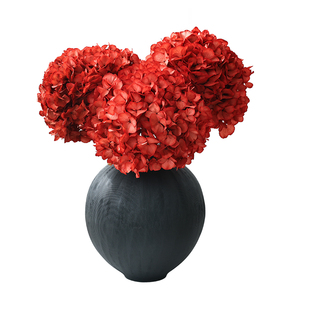 红色安娜绣球干花花束客厅摆设花瓶插花天然风干真花高级感永生花