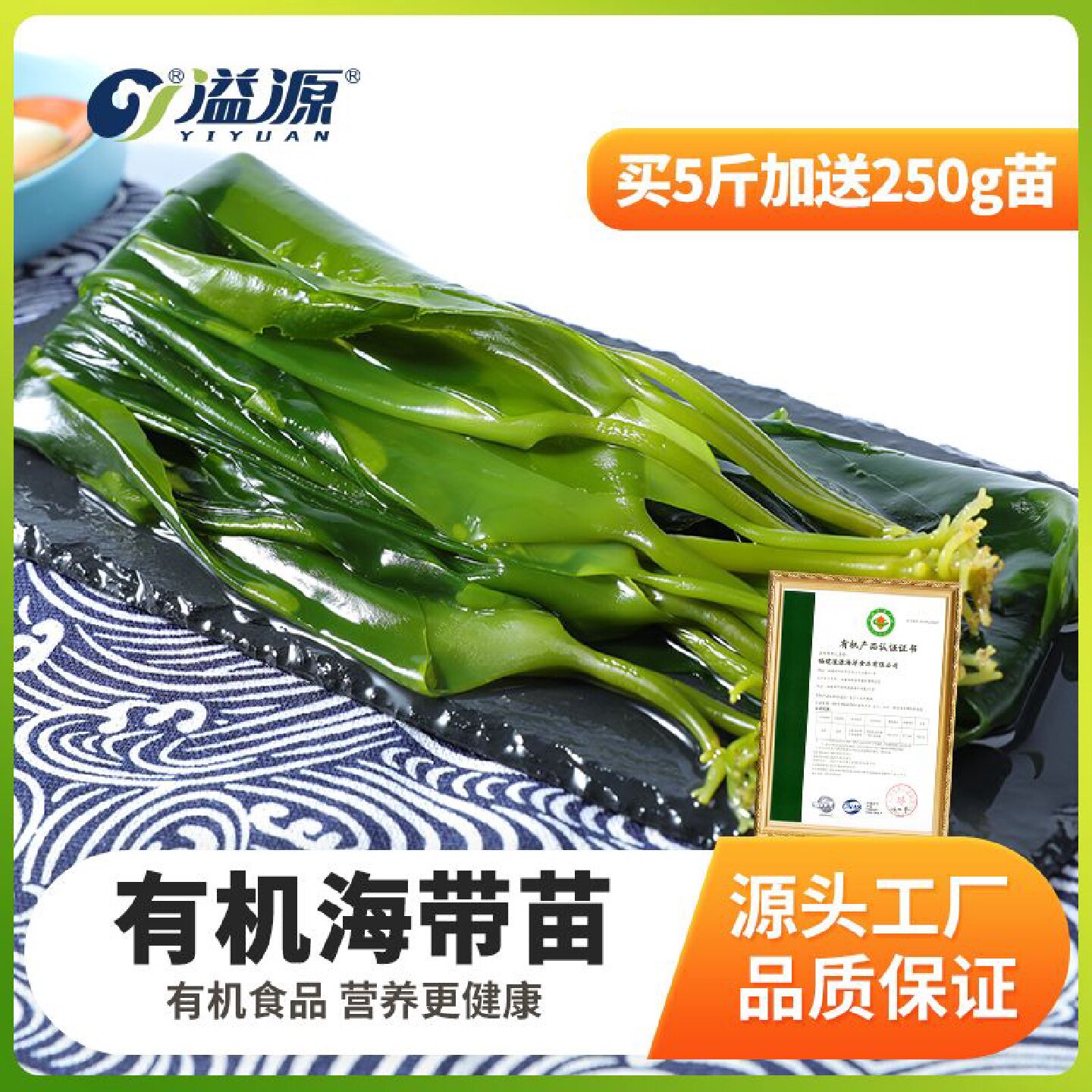 溢源有机海带大苗500g新鲜盐渍幼嫩火锅三秒非特级芽商用霞浦特产