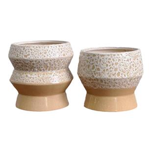 大惠兰银柳冬青蝴蝶兰新年宵花福桶轻奢客厅插花花器盆栽盆景花盆