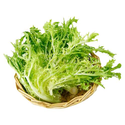 新鲜黄心苦菊500g沙拉蔬菜苦苣九芽狗牙苦细叶生菜西餐健身轻食材