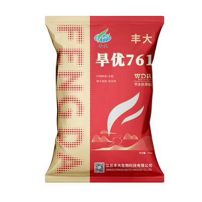 旱优761旱稻种子节水抗旱水稻种