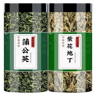 蒲公英紫花地丁茶中药材新鲜正品泡水泡茶婆婆丁浦公英干草犁头草