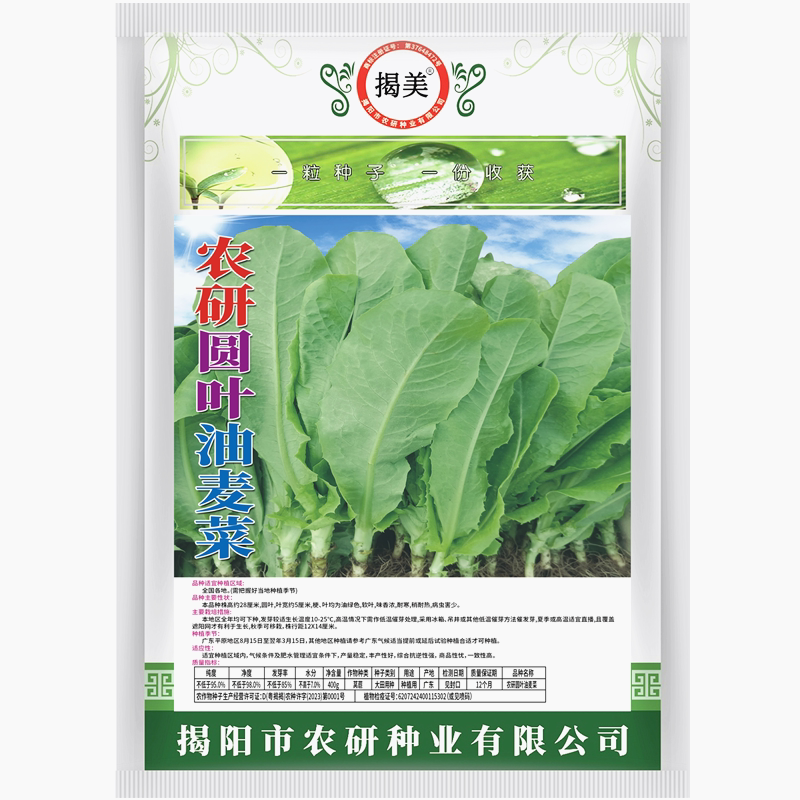 潮汕特色圆叶油麦菜  乌香菜锅仔生菜原厂封装10克 400克蔬菜种子