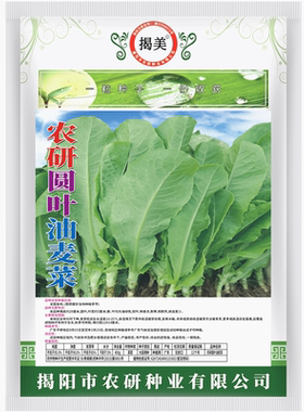 潮汕特色圆叶锅仔蔬菜种子四季