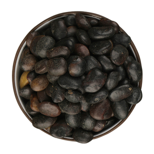 国槐种子新采速生国槐树籽笨槐家槐树可食用去皮槐豆净种籽林木种