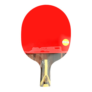 DHS/红双喜H9星级芳碳双面反胶狂飚8狂飙3套胶乒乓球拍横拍直拍