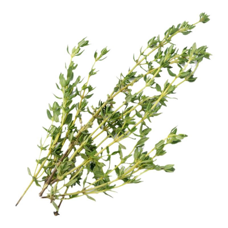 新鲜百里香煎牛排用烧烤香料菜新鲜西餐香料调味菜特香100g
