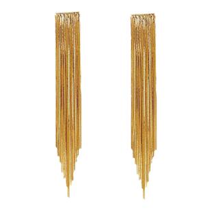 欧美重工金属超显瘦银针耳环2025新款潮耳饰长款波西米亚流苏耳坠