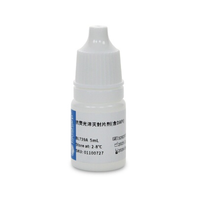 白鲨Biosharp BL739A BL739B 抗荧光淬灭封片剂(含DAPI)