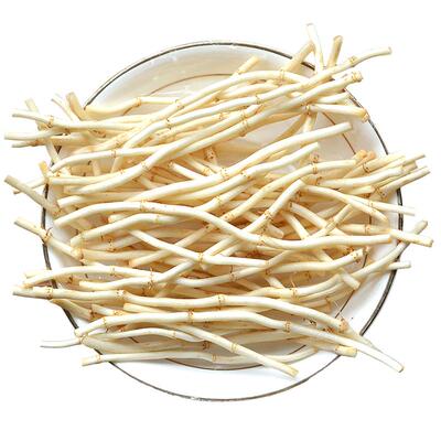 【现挖无药水】精选鱼腥草折耳根