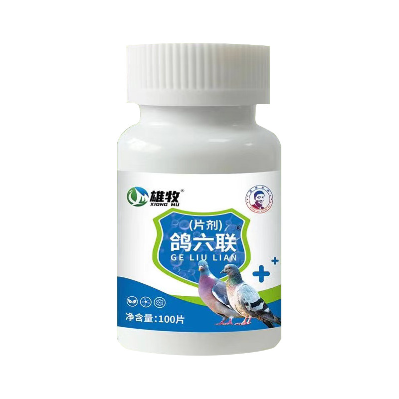 鸽六联鸽子专用鹦鹉扭头歪脖药