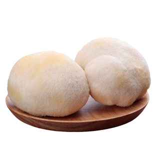 新鲜猴头菇仿野生猴头菌食用菌猴菇云南蘑菇煲汤火锅食材500g