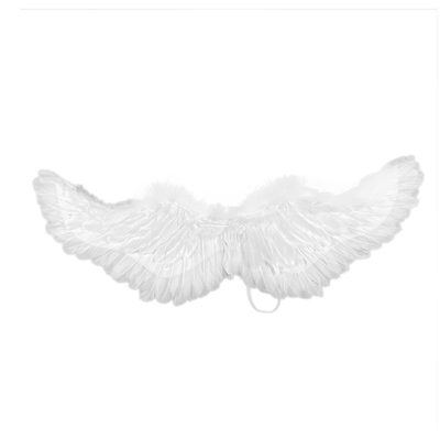生日礼物魔法棒天使翅膀翅膀
