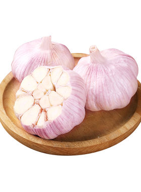农家大蒜头新干蒜紫白皮大蒜干蒜特大果农家颗颗饱满优选精选