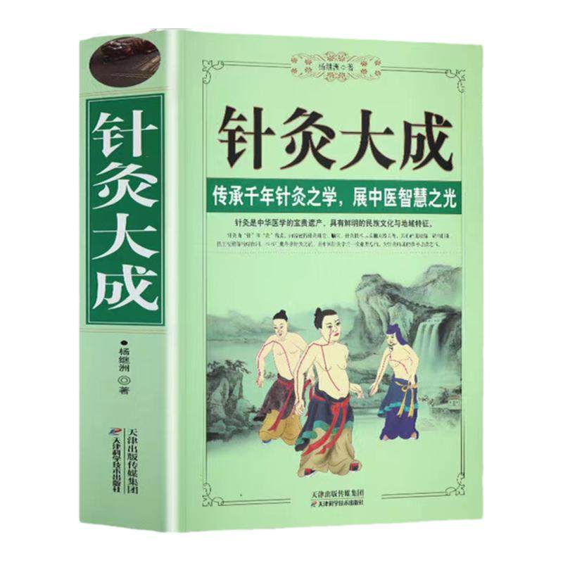 针灸大成 正版 原文集注白话解中医