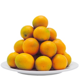 【初三发货】融安金桔第三代脆蜜金柑新鲜现摘鲜果桔子独立包装