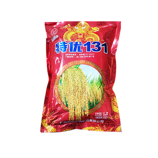 桂潮米圆粒米粉水稻种子特优131高产直链淀粉高抗倒伏力2斤装