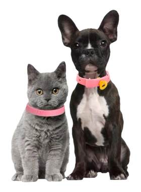 狗狗驱虫项圈猫咪项圈去除蚤防虱子除跳蚤药猫圈宠物脖圈用品大全